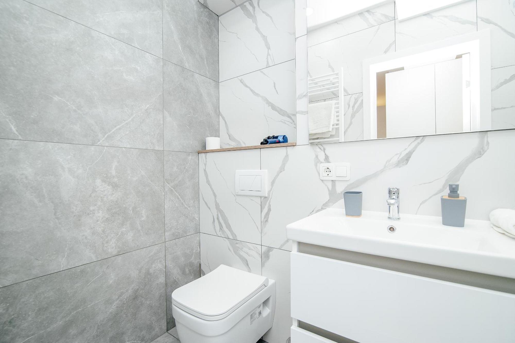 Oaza Urbana Langa Circ Si Centru - Modern Si Confortabil * Chişinău